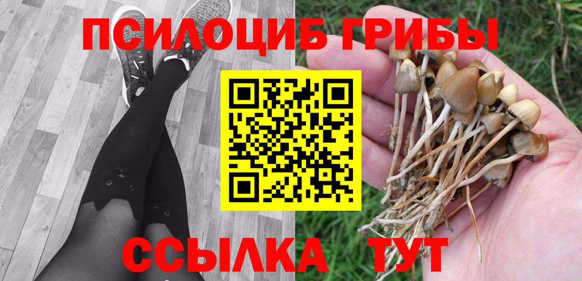 Ликино-Дулёво  Галлюциногенные грибы MAGIC MUSHROOMS  Вход с VPN 